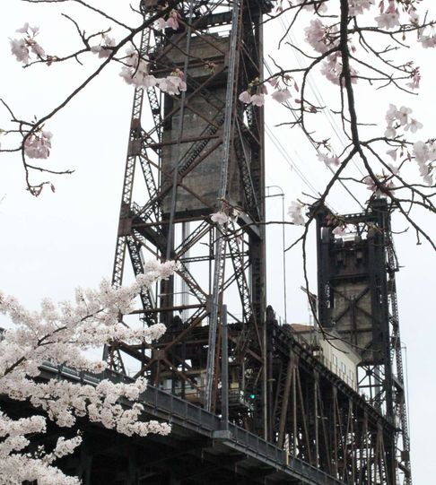 Portland Steampunk Bridge