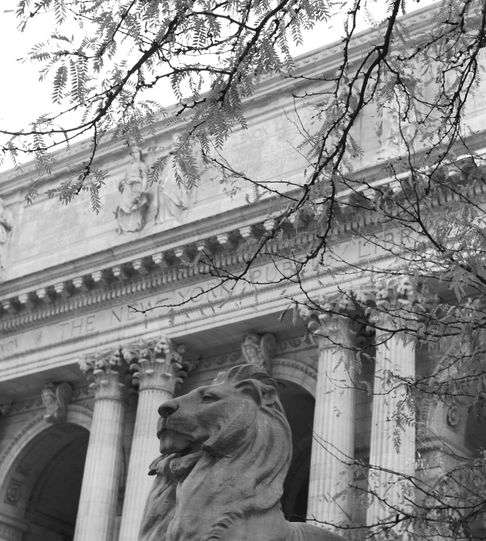 Lion in front of the New York Public Library